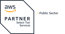 AWS Partner, Public Sector